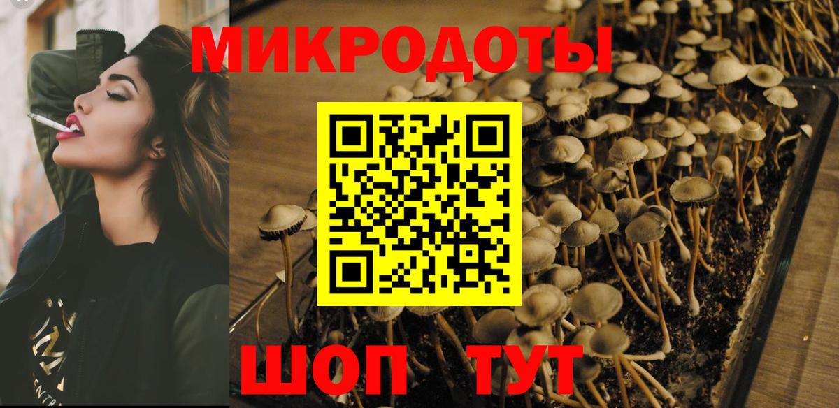 Галлюциногенные грибы ЛСД Дальнереченск