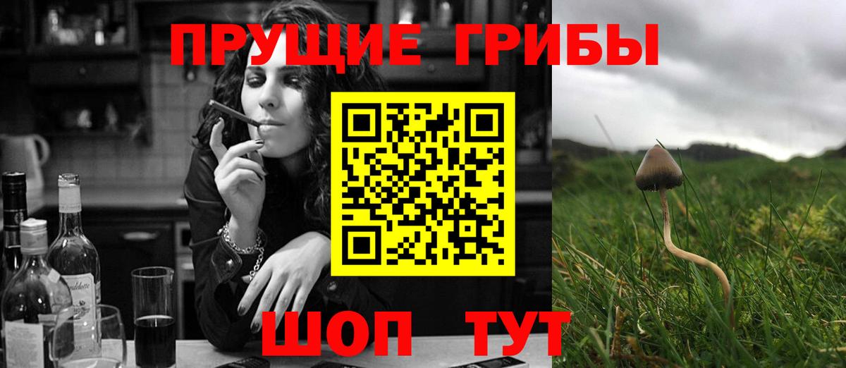купить   Псилоцибиновые грибы мицелий  Дальнереченск  Вход с VPN  Псилоцибиновые грибы прущие грибы 